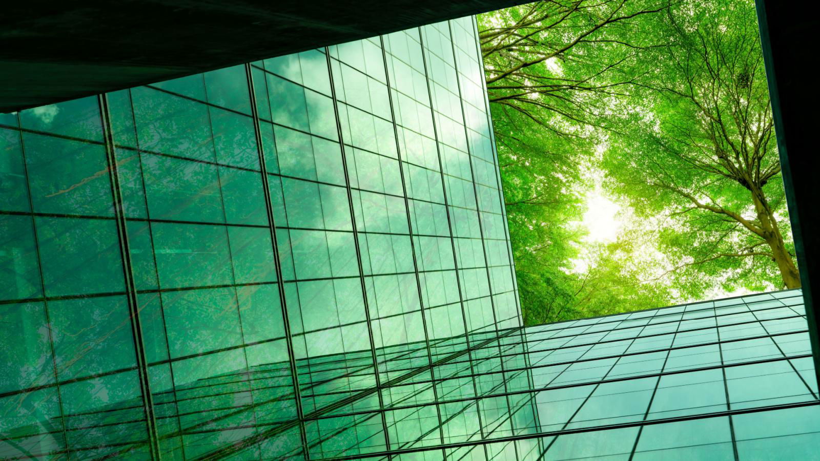 Businesses are still wrestling with integrating sustainability fully into their company strategy